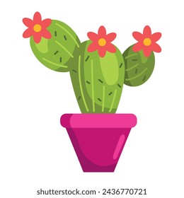 cinco de mayo cactus illustration design