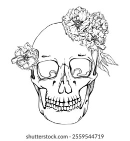 Cinco de Mayo human skull, crown of poppy peony anemone flowers. Mexican holiday Day of the Dead symbol. Hand drawn ink vector isolated illustration. Travel, vacation brochure, fiesta ticket card