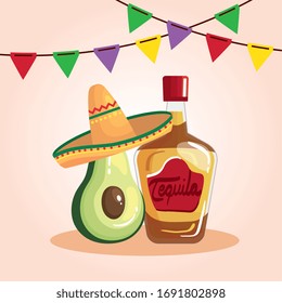 cinco de mayo poster with bottle tequila and decoration vector illustration design