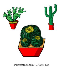 Cinco de Mayo set of cactus from Mexico on a white background