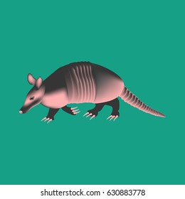 Cingulata animal illustration on the green background. Vector illustration