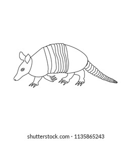 Cingulata animal illustration on the white background. Vector illustration