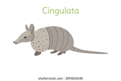 the cingulata is standing. Australian bird in a simple style. Flat vector illustration
