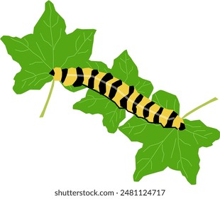 Cinnabar moth caterpillar vector illustration