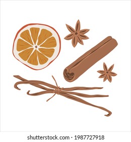 Cinnamon, Anise Star, Vanilla And Dried Orange Slice Spice Set, Hand Drawn Illustrations Of Seasoning, Mulled Wine Ingredients, Realistic Detailed Vector Drawing Isolated On White Background