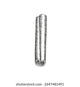 Cinnamon graphics illustration. For menu, cookbook and recipe book, packaging, New Year's wrapping paper. Ingredient for mulled wine and bakes. Christmas object.