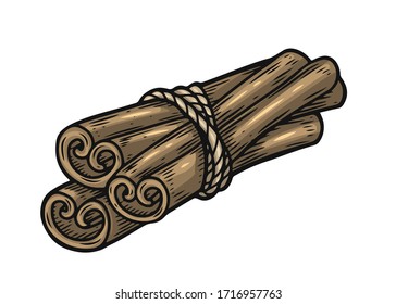 Cinnamon hand drawn vector illustration. Bunch of cinnamon isolated on white background.
