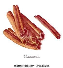 Cinnamon hand drawn watercolor, eps10. Spices collection