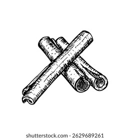 Cinnamon herb sketch outline illustration. Botanical drawing in engraving style for cooking, aromatherapy, garden, medicinal concept. Hand drawn floral vector clipart