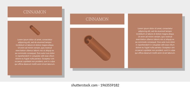 Cinnamon. Information banner or tag in two designs. Description and useful properties of cinnamon. Template for essential oil, spices. Brochure with blank space for text.