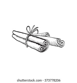 cinnamon, ink drawing brush isolated vector