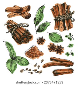 Cinnamon isolated: botanical line art. Cinnamon with leaves, anise star and clove spice. Vector hand-sketched old book linotype style illustration. Сarefully drawn objects for engraving style design