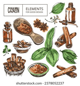 Cinnamon isolated: botanical line art. Cinnamon with leaves, anise star and clove spice. Vector hand-sketched old book linotype style illustration. Сarefully drawn objects for engraving style design