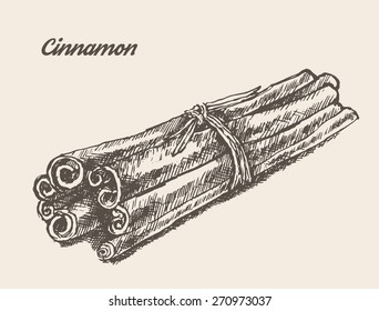 Cinnamon isolated on background, vintage vector illustration, hand drawn, engraved style, sketch