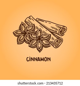 Cinnamon. Natural spices. Compilation of vector sketches. Kitchen herbs and spice. Vintage style. Hand drawn.
