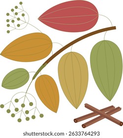 Ilustración vectorial de hojas de canela