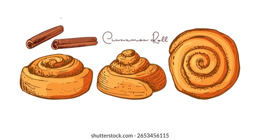 Cinnamon Roll set. Buns, cinnamon sticks color sketch with inscription, Pastry sweet bakery. Vector Cute kanelbullar bun, yeast french dough, sweet nutrition snack. Hand drawn element for cafe, menu