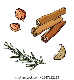 Cinnamon, rosemary, dried garlic, coriander. Vector cartoon illustration. white background, isolation. Stock illustration.