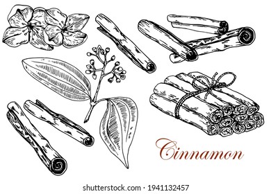 Juego de canela. Rama con flores, palo y ramo amarrado. Ilustración en blanco negro estándar. Vector.Sketch. Dibujo manual.Aislado sobre fondo blanco. Para el diseño de envases de los productos Cinnamons