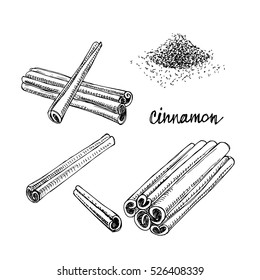 Cinnamon set. Hand drawn spices in sketchy style isolated on white background. Vector illustration. 