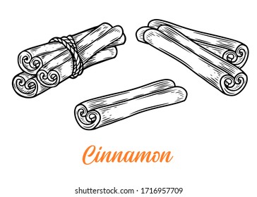 Cinnamon set hand drawn vector illustration. Bunch of cinnamon isolated on white background.