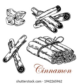 Cinnamon set.   Stock black white Illustration. Vector.Sketch. Hand drawing.Isolated on white background. For packaging design of Cinnamons products, banner