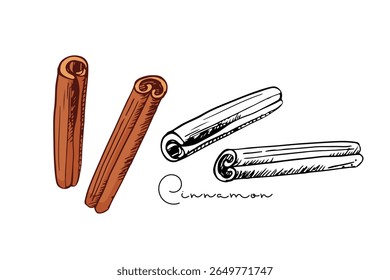 Cinnamon sketch. Hand drawn vector spices cinnamon sticks. Medicinal, cosmetic, culinary dried plants. Black White and color Doodle illustration For cafe, spice shop, menu, recipe. Organic plant