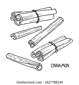 Cinnamon sketch set. Hand drawn vector spices cinnamon sticks. Medicinal, cosmetic, culinary plants. Doodle Outline illustration. For cafe, spice shop, menu. Organic and fresh cooking.