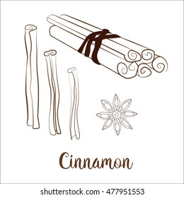 Cinnamon. Sketch. Vector illustration.