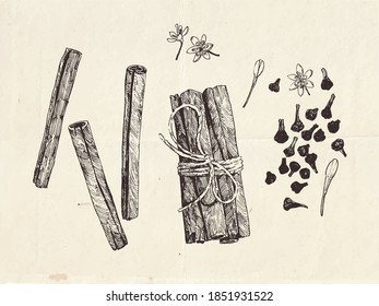 Cinnamon spice, hand drawn sticks and flowers