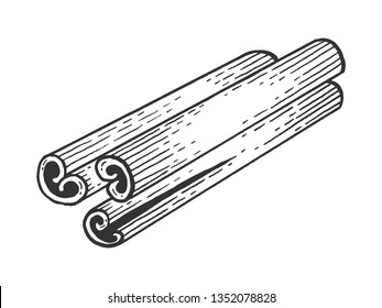 Dibujo picante de canela que graba ilustración vectorial. Imitación del estilo de pizarra. Imagen dibujada a mano.