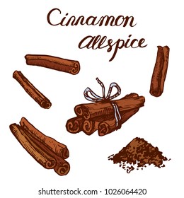 Cinnamon spice stick set isolated on white background ink sketch hand drawn illustration