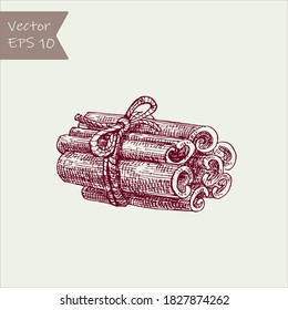 Cinnamon spice stick set isolated on white background ink sketch hand drawn illustration