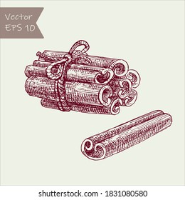 Cinnamon spice stick set isolated on white background ink sketch hand drawn illustration