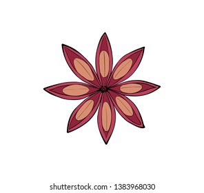 Cinnamon Star. Isolated fruit spices for baking