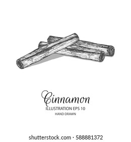 Cinnamon stick hand drawn illustration by ink and pen sketch. Isolated vector elements design for herb and spice products and health care goods.