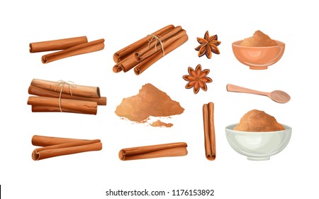 Cinnamon stick and powder set. Natural spicy ingredient for food. Isolated vector illustration