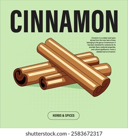 Cinnamon Stick Premium Vector Clipart High-Quality Illustration for Cooking Branding and Packaging