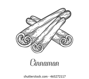 Cinnamon stick seed plant . Hand drawn sketch vector illustration isolated on white. Spicy herbs. Cinnamon Doodle design cooking ingredient for food, dessert. Seasoning spice herb.