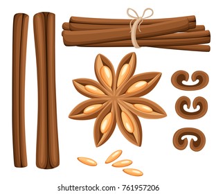 Cinnamon stick, star anise, anise and cardamom vector. Isolated icons on white background. Website page and mobile app