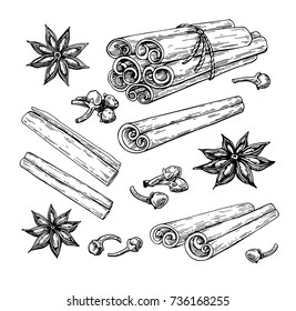 Cinnamon stick tied bunch, anise star and cloves. Vector drawing. Hand drawn sketch. Seasonal food illustration isolated on white. Engraved style spice and flavor. Cooking and mulled wine ingredient.