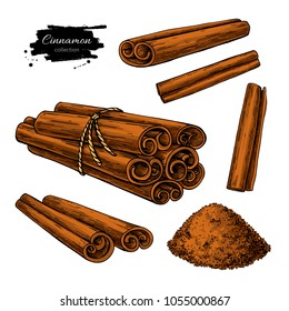 Cinnamon stick, tied bunch and powder set. Vector drawing. Hand drawn sketch. Seasonal food illustration isolated on white. Spice and flavor object. Cooking and aromaterapy ingredient.