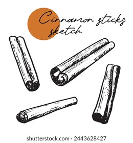 Cinnamon stick and tied bunch set. Vector drawing. Hand drawn sketch. Seasonal food illustration isolated on white. Engraved style spice and flavor object. Cooking and aromatherapy ingredient.