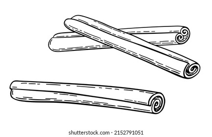 Cinnamon stick vector drawing. Hand drawn sketch of canella. Illustration in engraving style, isolated on a white background. Cinnamon spice and flavor. Design element for banner, menu, product, good.