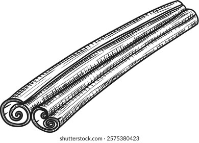 Cinnamon stick vector hand drawn line art sketch style. Image of aromatic spice on isolated background retro engraving.