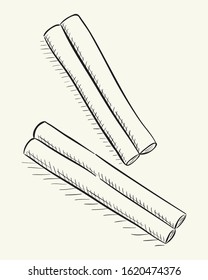Cinnamon sticks. Black and white sketch vector illustration.