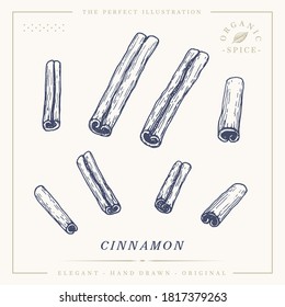 Cinnamon sticks botanical sketch vintage retro illustration