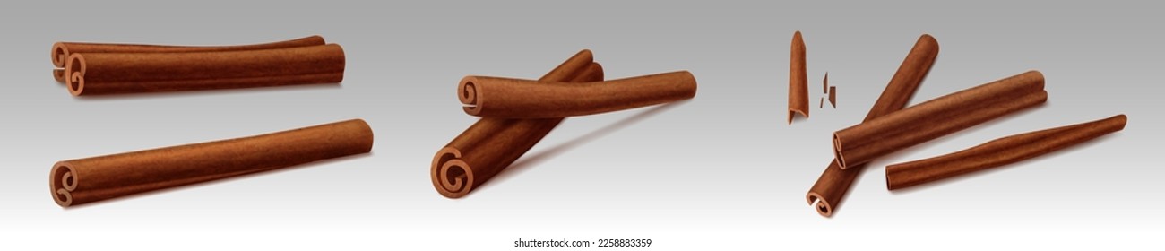 Cinnamon sticks, brown indian spices. Bundles of dry cinnamon, cooking and baking seasoning, aromatic condiment. Canella sticks isolated on background, vector realistic illustration