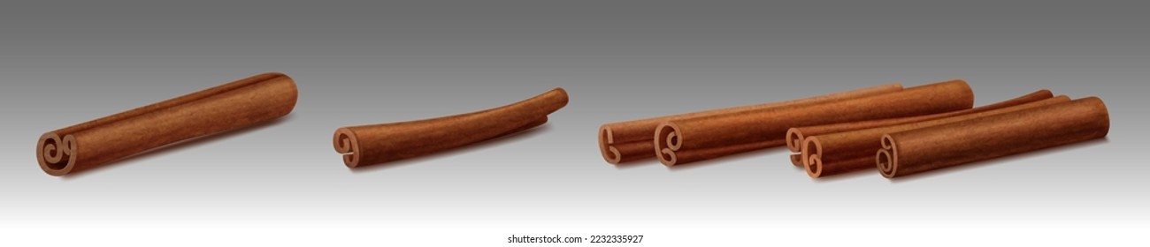 Cinnamon sticks, brown spice rolls, flavored condiment for cooking, bakery and aroma therapy. Organic aromatic seasoning with delicious smell isolated objects, Realistic 3d vector illustration