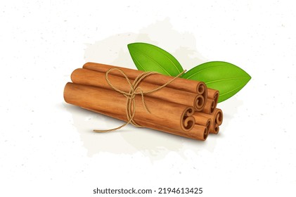 Cinnamon Sticks bundle with green leaves vector illustration